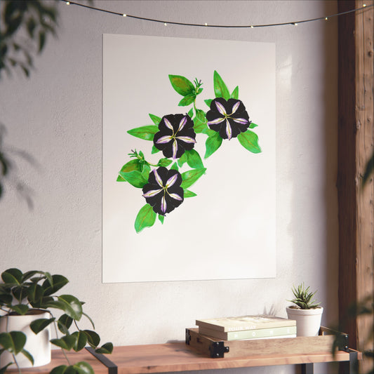 Morning Glory Fine Art Print