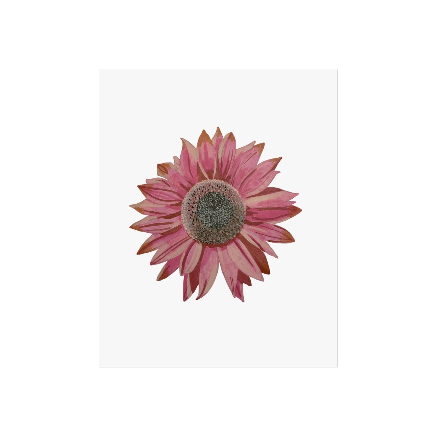 Pink Sunflower Fine Art Poster
