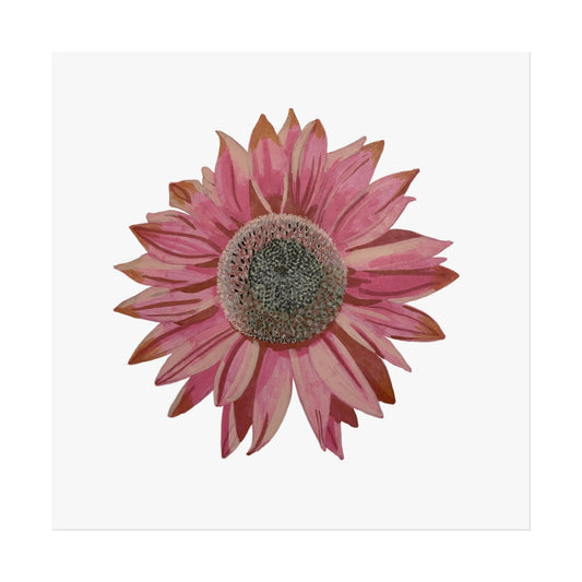Pink Sunflower Fine Art Poster